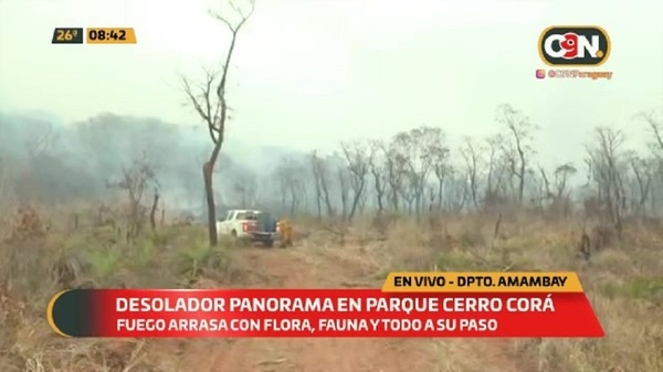 Recorremos el Parque Nacional Cerro Corá - C9N