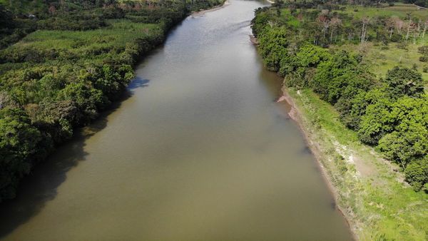 Brasil perdió la sexta parte de sus áreas cubiertas de agua