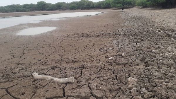 Sequía y bajante de ríos: países del centro y sur de Sudamérica “están en el mismo horno” - Nacionales - ABC Color