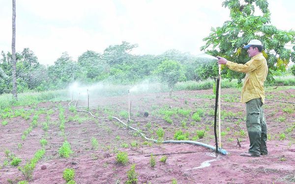 Sector productivo: sugieren implementar algunas medidas para paliar efectos negativos del clima | Radio Regional 660 AM