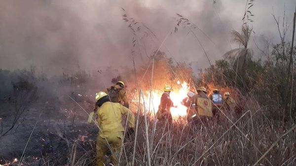 Paraguay arde: en agosto se dieron casi 40.000 focos de calor - Nacionales - ABC Color