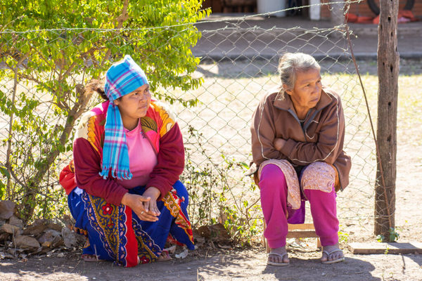 Lanzan guías para orientar inclusión socioeconómica post COVID de mujeres, pueblos indígenas y personas con discapacidad | OnLivePy