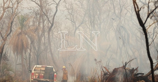 La Nación / Pedro Galli indicó que los campos pierden millones de dólares por incendios