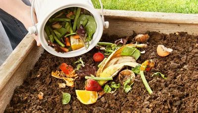 ¿Qué hacemos con la basura para no quemarla? - Nacionales - ABC Color