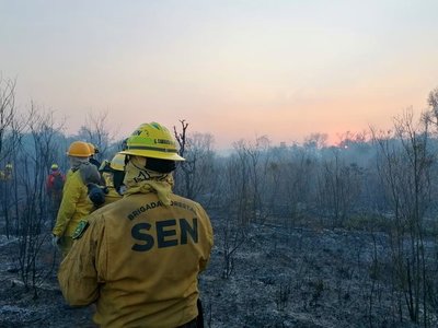 Incendio en el Parque Cerro Corá ya fue aplacado - El Trueno