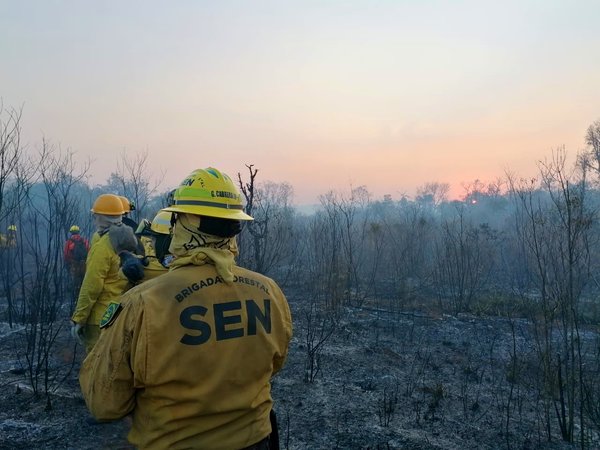 Incendio en el Parque Cerro Corá ya fue aplacado - El Trueno