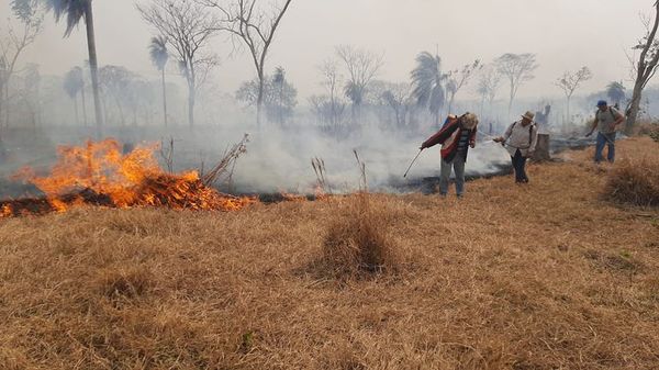 Fuego arrasa en San Pedro y bomberos no dan abasto - Nacionales - ABC Color