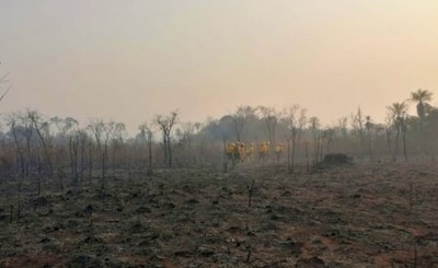 Logran apagar el fuego en el Parque Cerro Corá