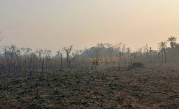 Logran apagar el fuego en el Parque Cerro Corá
