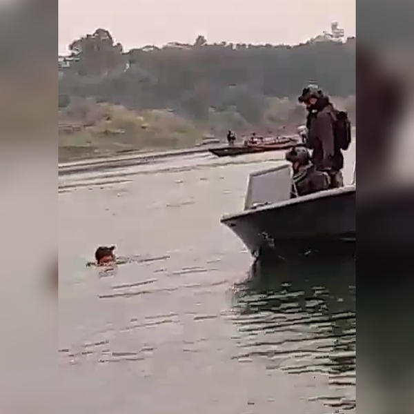Nadando por el Paraná: un hombre habría intentado cruzar de forma ilegal a Argentina - Megacadena — Últimas Noticias de Paraguay