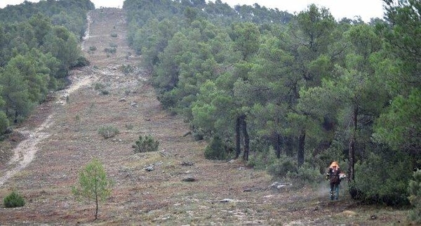 Diario HOY | SEN prepara cortafuegos en el norte del Chaco tras ingreso del incendio surgido en Bolivia