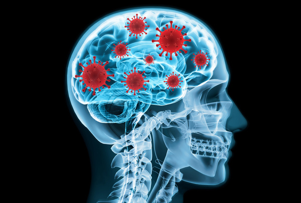 Estudio revela que el cerebro es capaz de “predecir el futuro”