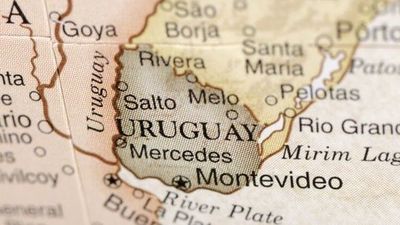 Ministro de Interior uruguayo quiere expulsar a extranjeros que delinquen