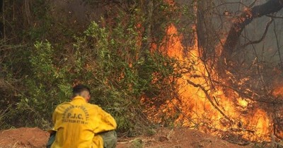 La Nación / Se reaviva foco de incendio en el Parque Cerro Corá y zona Lorito Picada