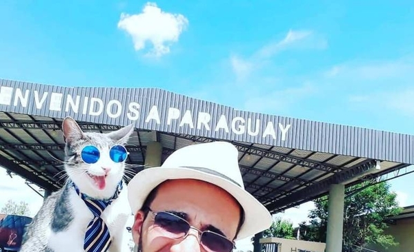 Diario HOY | Veterinaria-UNA ratifica la causa de muerte del gato mochilero