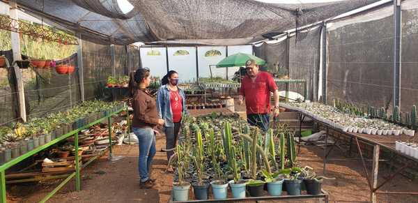 Emprendedora genera ingresos mediante el cultivo y la venta de tunas y suculentas | .::Agencia IP::.