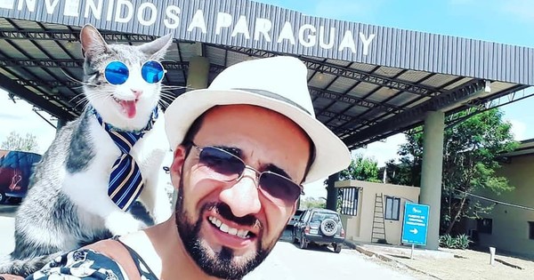 La Nación / Necropsia a gato mochilero: ratifican que no se identificaron partículas tóxicas