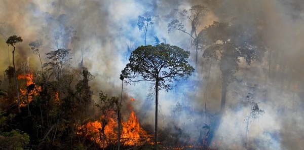 Brasil “se está secando”: en 30 años perdió la sexta parte de sus áreas cubiertas de agua dulce - ADN Digital