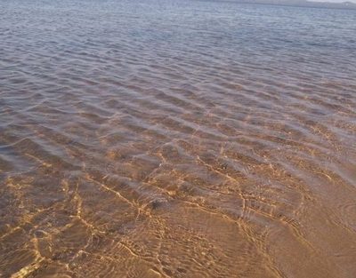 Mejora calidad del agua en el Lago Ypacaraí