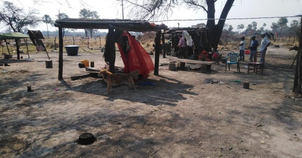La Nación / Familia indígena de la parcialidad enxet del Chaco vive en precarias condiciones y pide ayuda