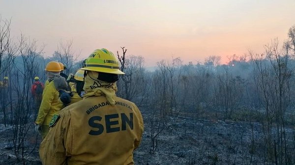 Focos de calor disminuyeron 50% en las últimas 24 horas | Noticias Paraguay