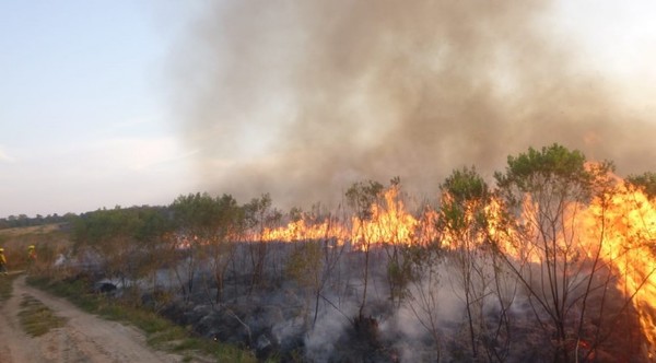 "Las olas de calor y la sequía van a continuar, lo único que queda es adaptarnos", sostienen