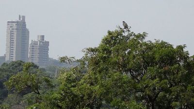 Vientos del sur disminuyen focos de calor y contaminación del aire
