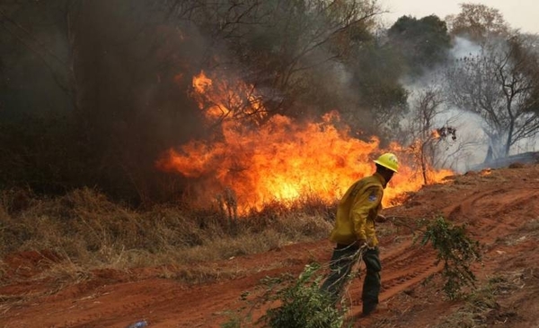 Diario HOY | Karim Musálem, director de Conservación de WWF, sobre prevención de incendios forestales