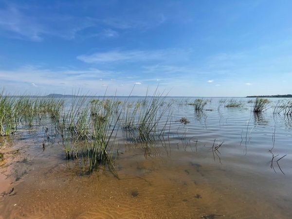 Estudios demuestran progresiva mejoría de la calidad del agua del Lago Ypacaraí