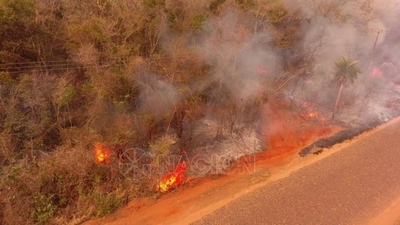 Diario HOY | Se reavivó el fuego en Lorito Picada y nuevamente apeligra el Parque Cerro Corá