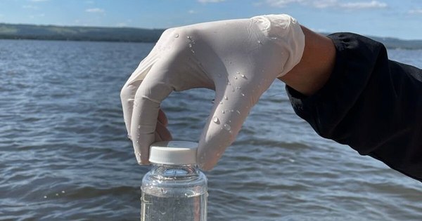La Nación / Registran la mayor transparencia de los últimos años de monitoreo en el lago Ypacaraí