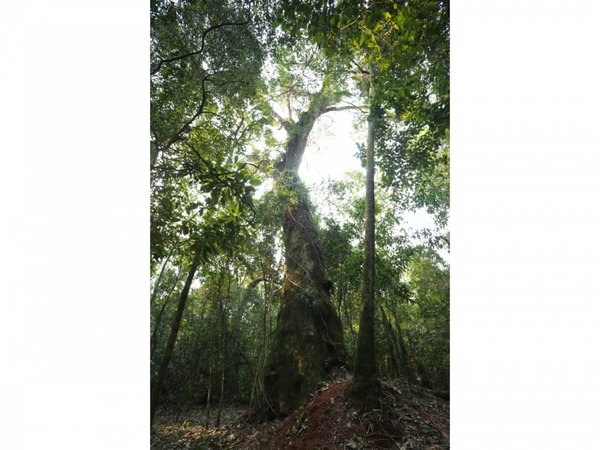 Crónica / Finalizó la segunda expedición del concurso “Colosos de la Tierra”