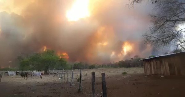 Incendios forestales en el Chaco apeligran unas 30.000 cabezas de ganado