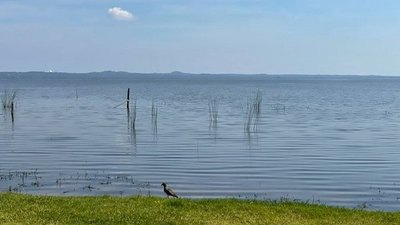 Progresiva mejoría del Lago Ypacaraí, según estudios del MOPC | Noticias Paraguay