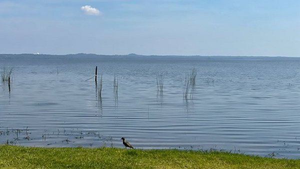 Progresiva mejoría del Lago Ypacaraí, según estudios del MOPC | Noticias Paraguay