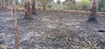 Diario HOY | Incendio afectó a 10 hectáreas de la Reserva del Ybytyruzú