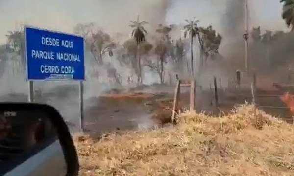 Cerro Corá: Incendio en el parque está controlado, pero no extinguido - OviedoPress