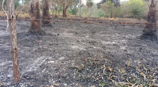 Incendio afectó a 10 hectáreas de la Reserva del Ybytyruzú – Prensa 5