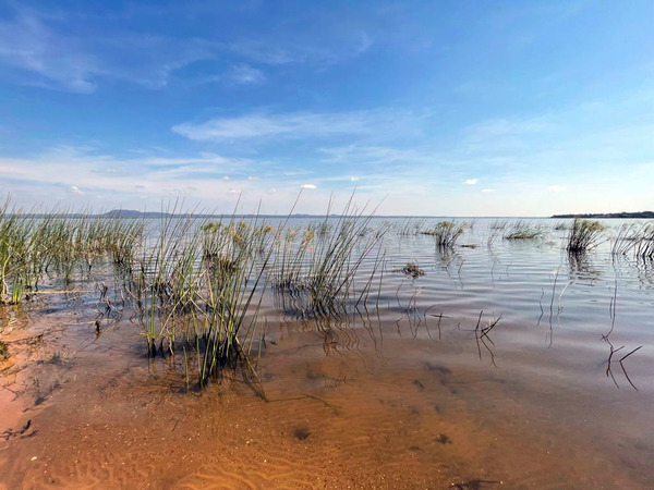 Lago Ypacaraí: demuestran una progresiva mejoría de la calidad del agua