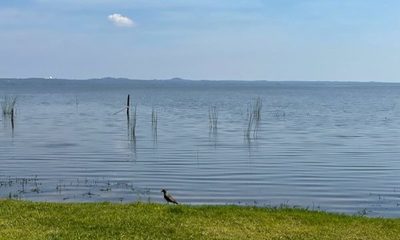 Mejoró calidad del agua del Lago Ypacaraí