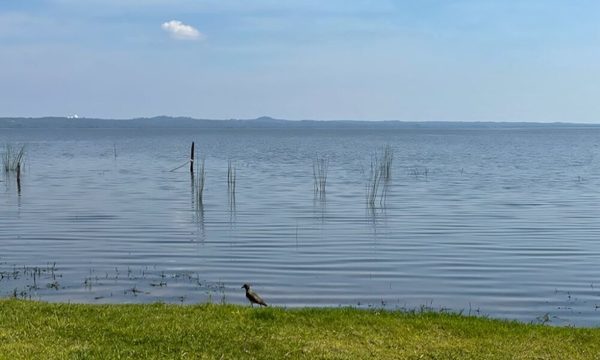 Mejoró calidad del agua del Lago Ypacaraí