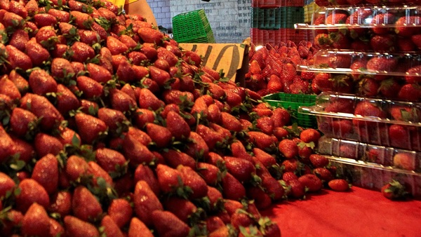 Los frutos rojos mexicanos no dejarán de crecer pese a la pandemia de COVID - MarketData