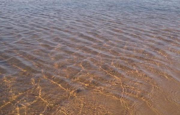 ¡Esperanzador!: lago Ypacaraí muestra mejoría en calidad de agua