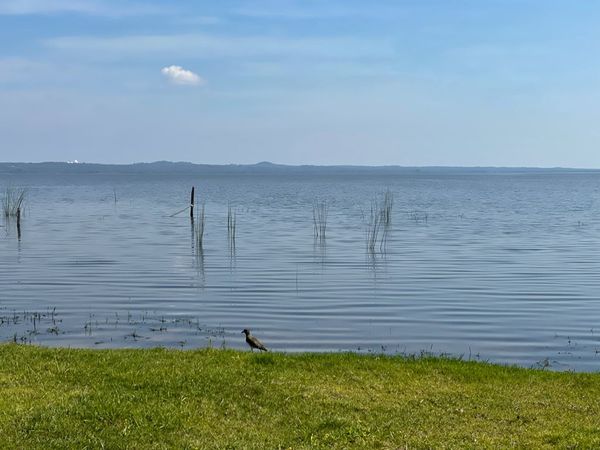 Reportan progresiva mejoría de la calidad del agua del lago Ypacaraí