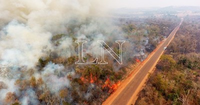 La Nación / Fiscal del ambiente insta a eliminar ley que permite la quema controlada