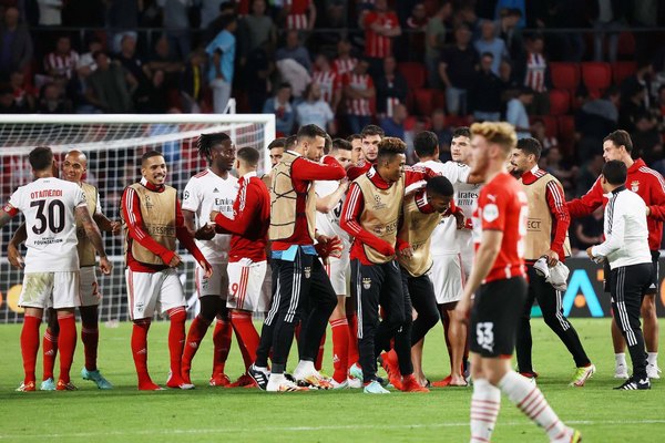 Benfica, Young Boys y Malmö, a la fase de grupos de la 'Champions'