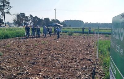 Jornada sobre control de malezas - ABC Rural - ABC Color