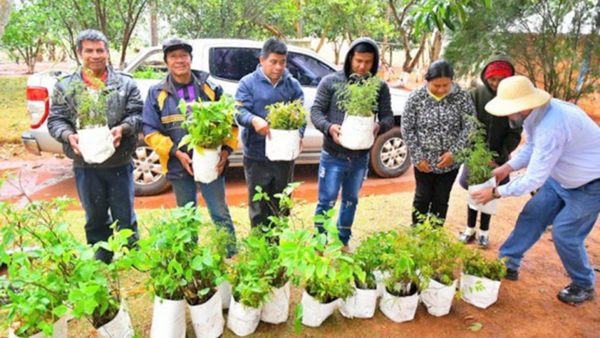 IB CONMEMORÓ DÍA DEL MEDIO AMBIENTE CON MÚLTIPLES ACCIONES