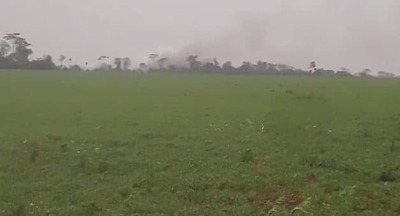 Indígenas denuncian desalojo y quema de su reserva forestal | Ñanduti