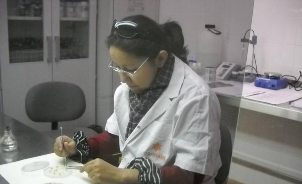 Diario HOY |  Investigadores trabajan en la protección de especies forestales nativas